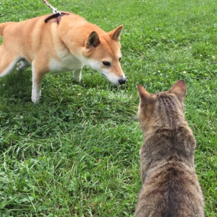 Adfe7279 9eae 4187 955c 0ada4a097442