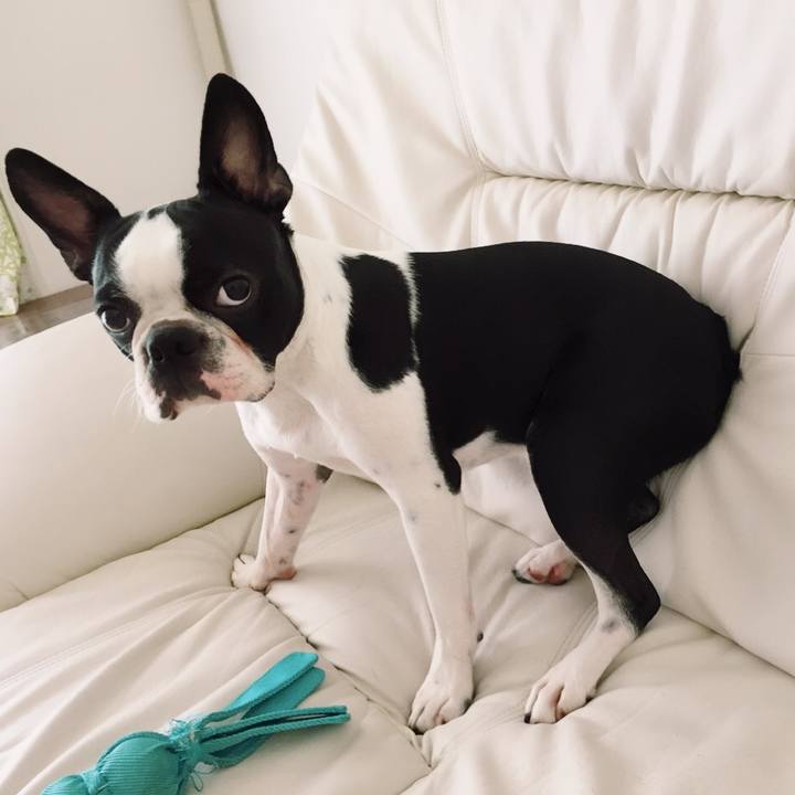 Adfeb729 b4c3 4b25 b795 d3d552ee4dfc