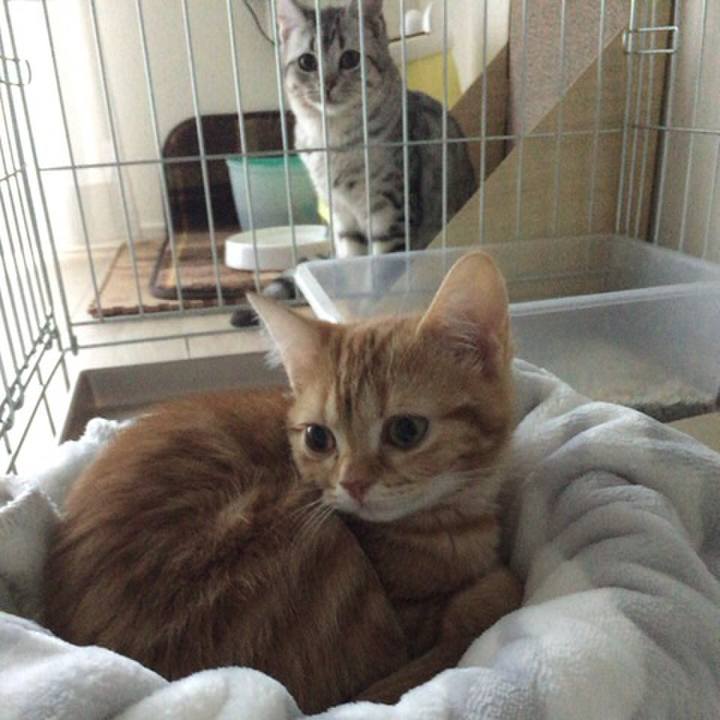 Adff5a91 2a1d 470c 8900 806ecca45dae