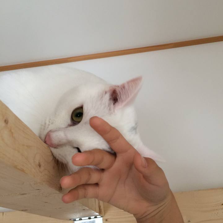 Ae00a1fa 68ef 4735 8087 4eea545077c2