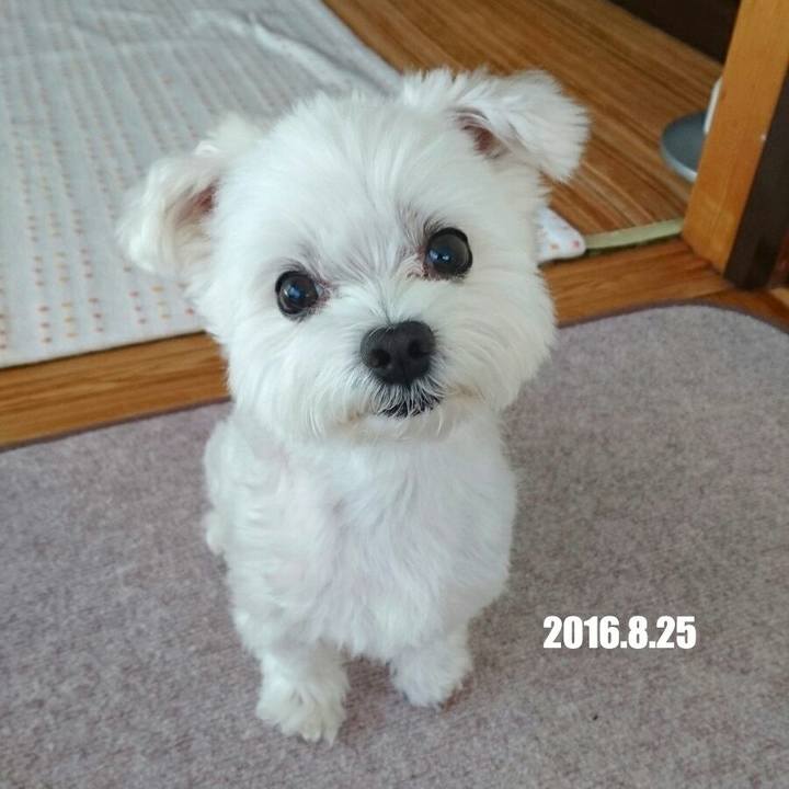 Ae0103ff 43af 403a 954e 49a52fc8f3fd