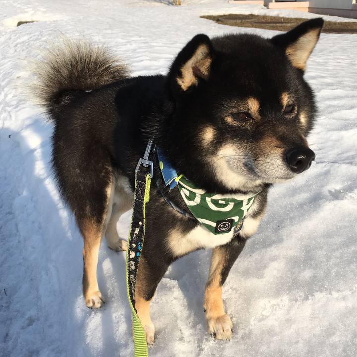 Ae0147f8 0ab6 4a84 b226 396efae23155