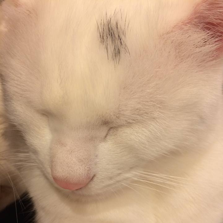 Ae03bf01 3b70 4027 896b 71aa2c0abb42