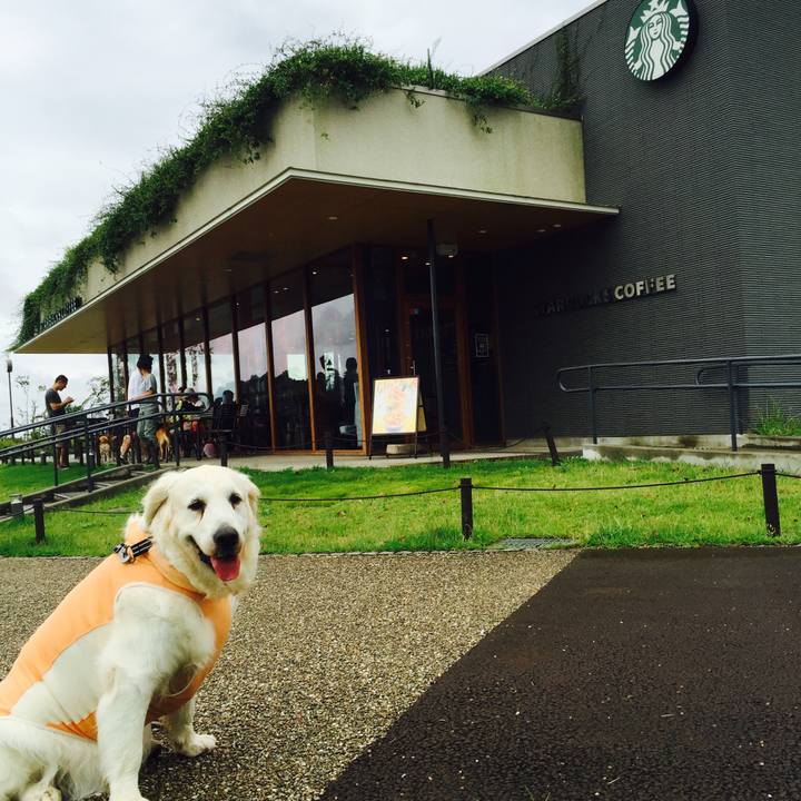 Ae03f270 74d7 4f2b 8311 85ed61863663