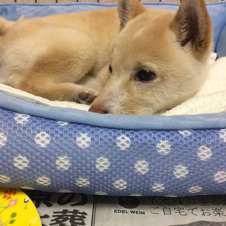 Ae048867 4004 4f25 b7e0 190516b5ef7b