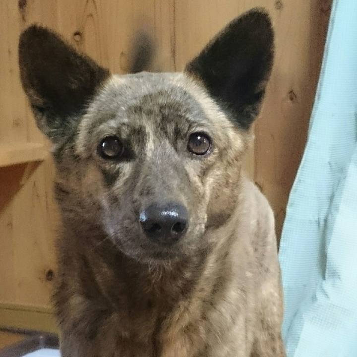 Ae04ed99 0b78 4ee1 b5b9 9898e98ec546