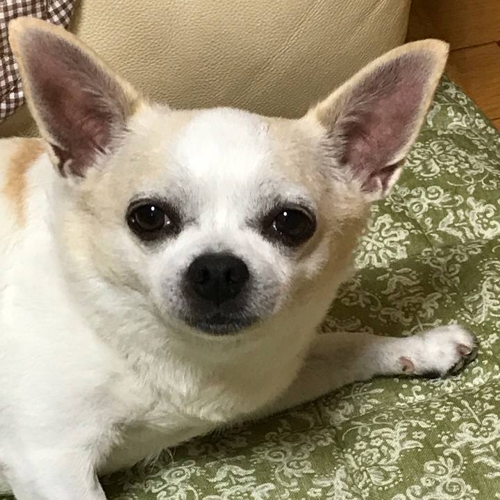 Ae050ab0 b31e 4340 b8d3 5e602cd0604a