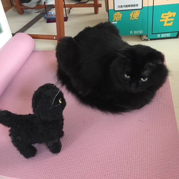 Ae05e94d 86d1 4967 a373 19cd9b7f0d44