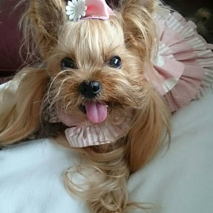 Ae062c80 5546 4a3a bff8 37922bb200ee