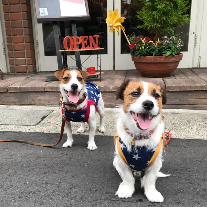 Ae06e32c d7b6 4a2b 9ae3 9c012e008258