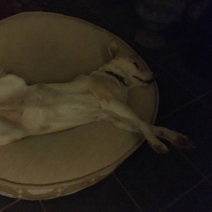 Ae0723a1 2ef5 499c 8d20 2b9caee18950