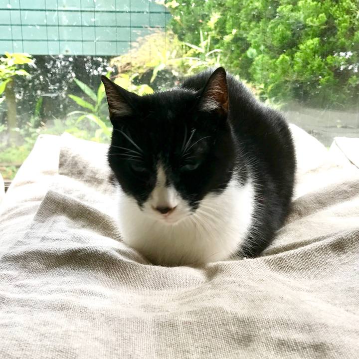 Ae0766c7 367e 465d 9a34 1fcba996c0c8