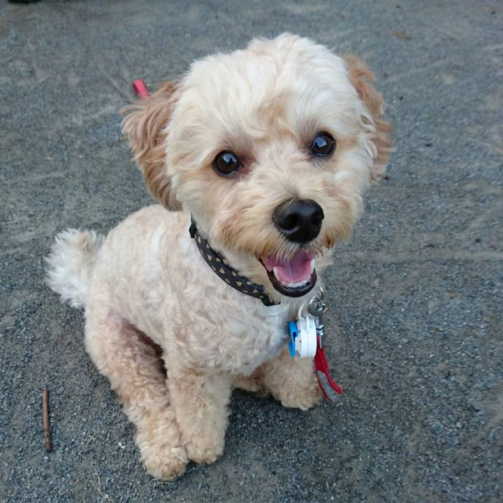 Ae078ac1 70d8 4667 aa5c cbef8ac1c0b2