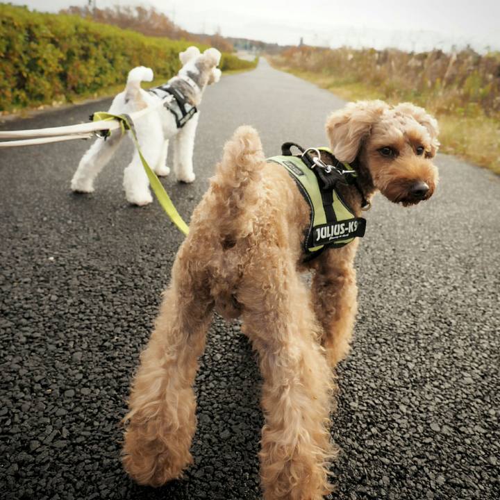 Ae07a7ff ade9 42b8 8a76 6ee8e4bdf0c4