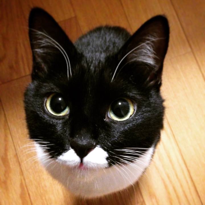 Ae07c5da bca7 4205 82be 87c34c858d9c