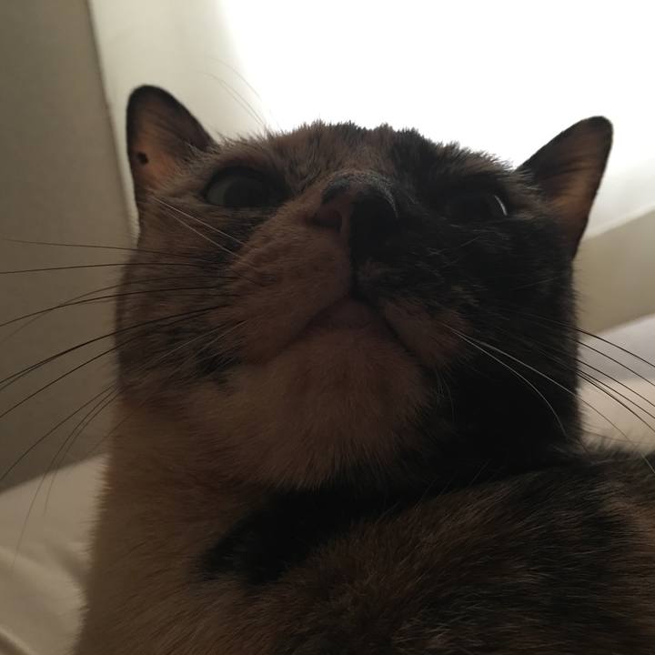 Ae082ddb c560 49f0 929b 0274c8c1174d