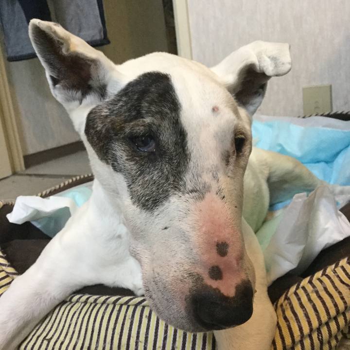 Ae0856c9 e583 4dda 9511 47084d652d31