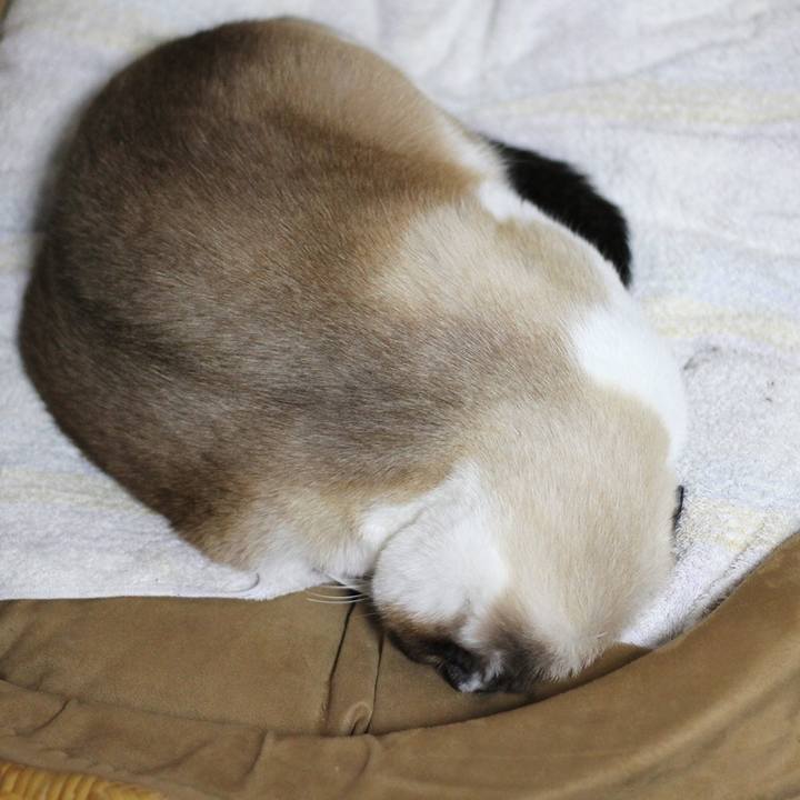 Ae08e84a 87b2 43be b237 825705331af2