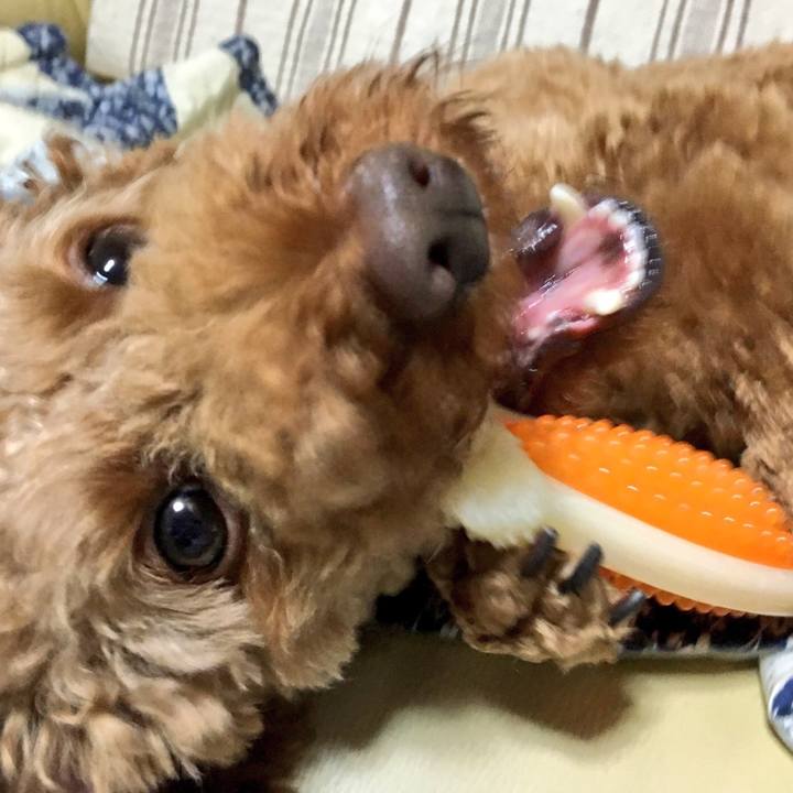 Ae095458 64ab 4523 9ee5 3d52c919b267