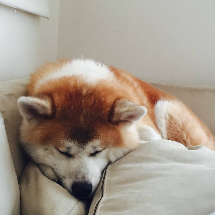 Ae0a5ea5 b53a 4059 b056 26430b07c637