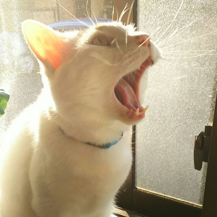 Ae0a6d39 ecaa 4860 b1dd 305da20d0cd9