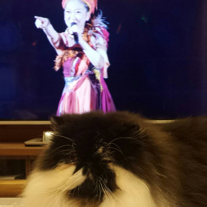 Ae0b0b52 cdc3 4b50 b606 d94da3f307ef