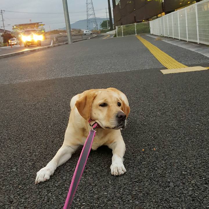 Ae0b63af 7510 4243 aa82 6012ffc45cf0