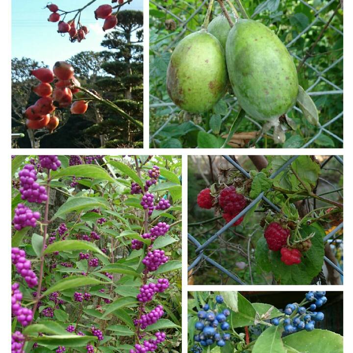 Ae0bba58 ffba 42c0 b9f8 299f5140c644