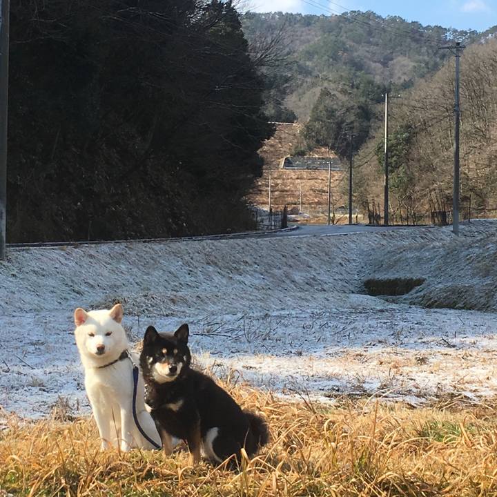 Ae0c306f 2996 48ee 914b 3be3b4d72d32