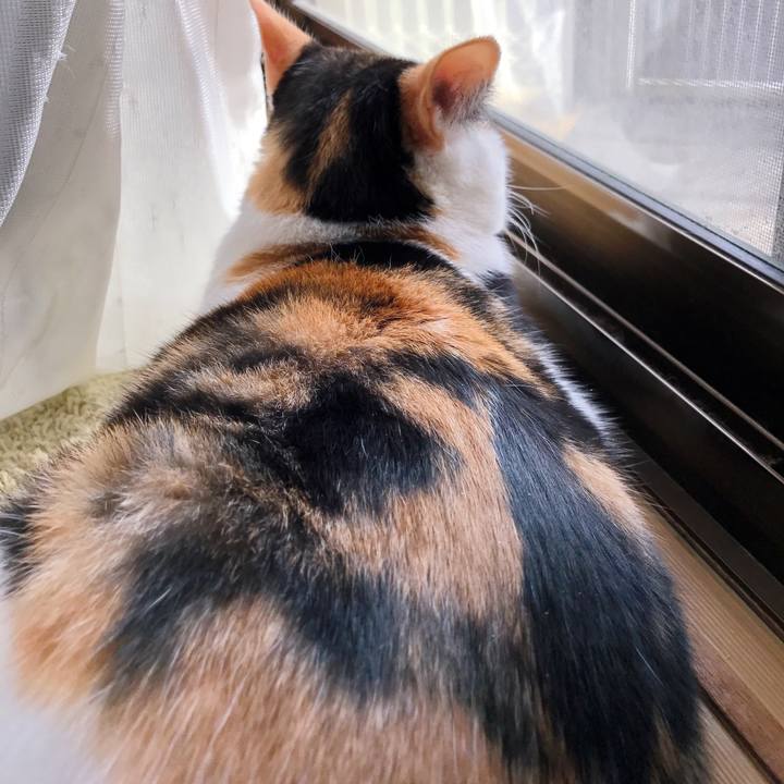 Ae0c3a35 227b 4b33 9b35 3d206fad2853