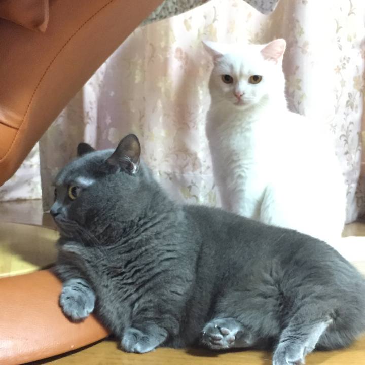 Ae0c9b0a 62be 4692 8d67 0483bc1d78c7