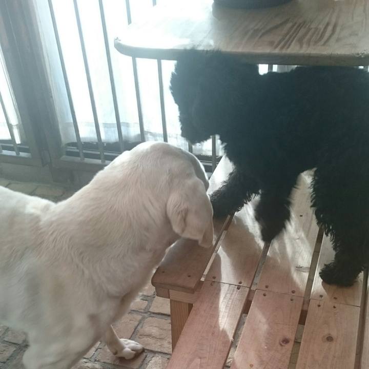 Ae0e1dc9 472e 4e5b 8f46 0350fc76c4d8