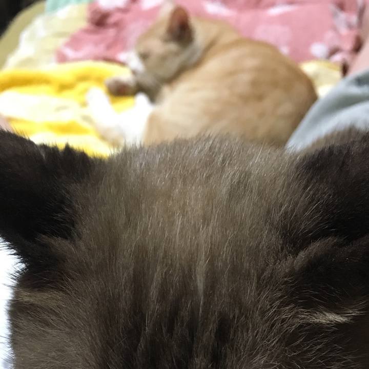 Ae0f3b0f c330 48ad 864d 2a8c209d7aa8