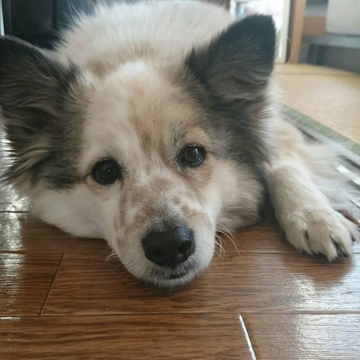 Ae0f4b0a 10e8 47f3 a8c0 e9d424b3e1a7