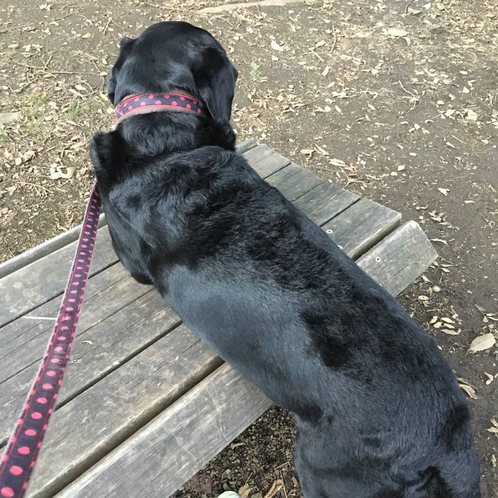 Ae10a52e f36f 478a 9f2e 66aa699aab9b