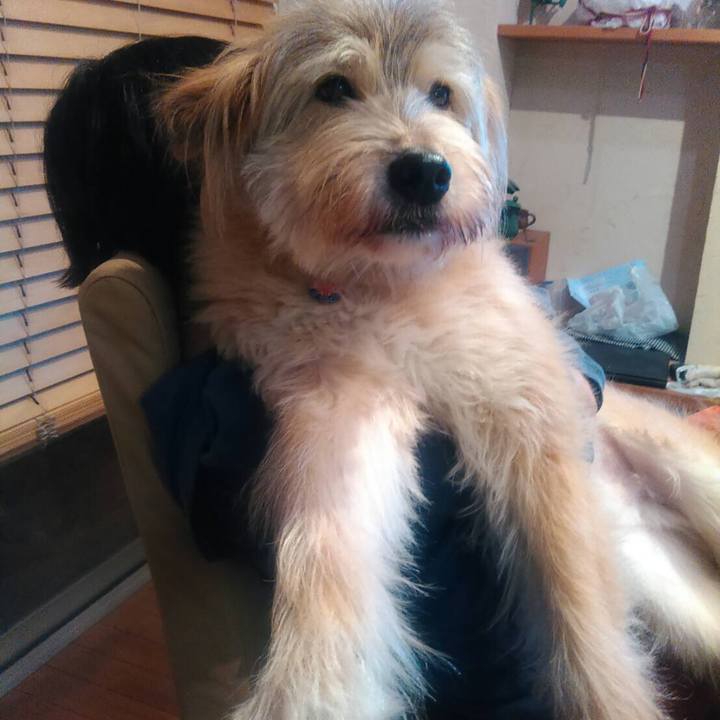 Ae10a64e 5550 4f1f 99c1 948c48ddab66