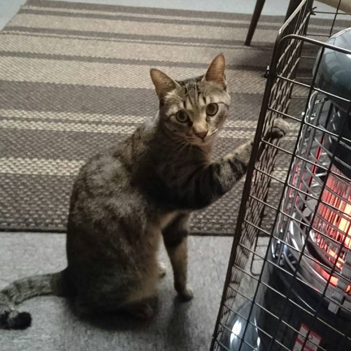 Ae118a67 6cbb 4278 ba42 b797df675903