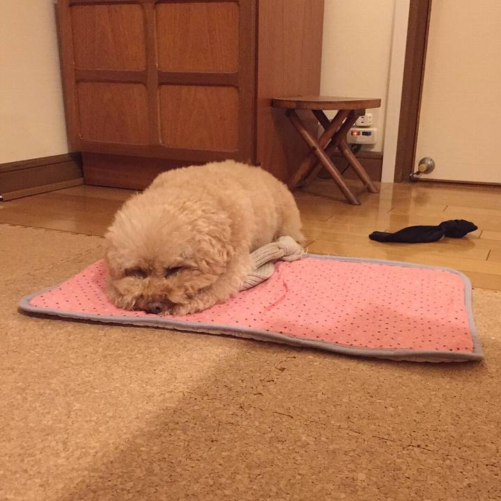 Ae11bbde f0a8 4d39 b03f 9c0b9d14f324