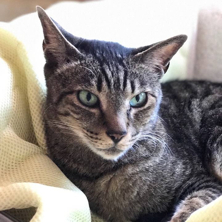 Ae11f624 8ddb 4c83 b123 0ab039baa4ad