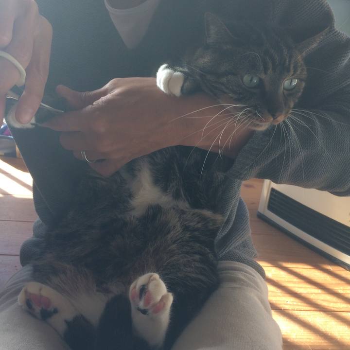 Ae1317db b327 4384 bcf8 55b63acddee7