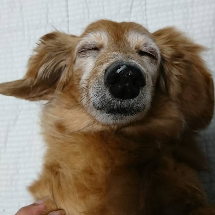 Ae1335d1 94d6 433a 8702 9f66b0affd2f