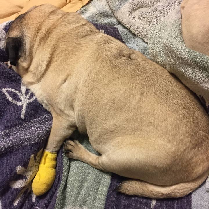 Ae1360c1 c286 4801 8ba4 0f2aa17b41e6