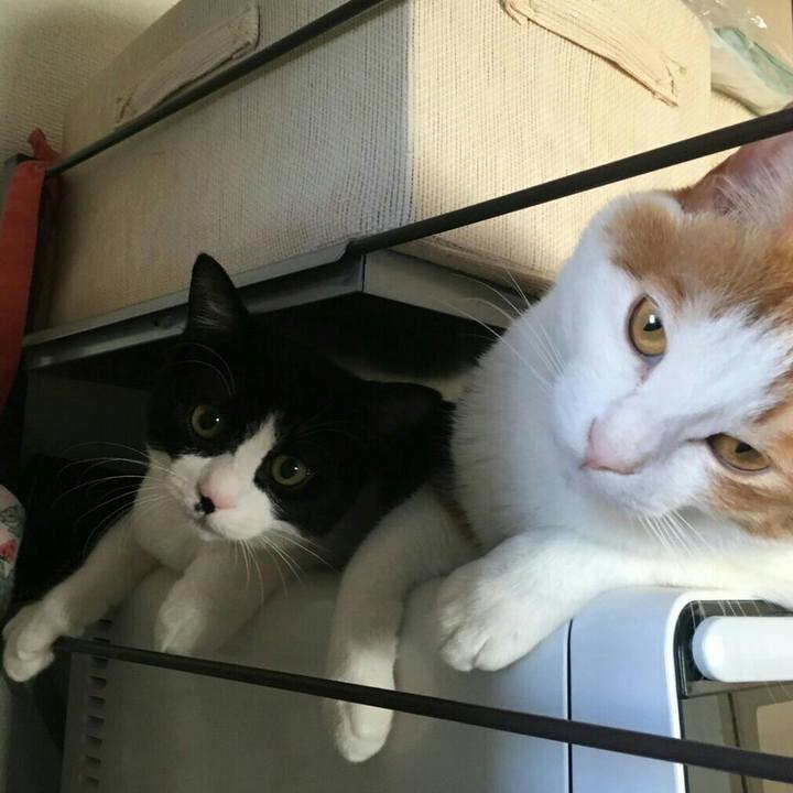 Ae13d59c 172e 4c44 8d7f 7be91f117801