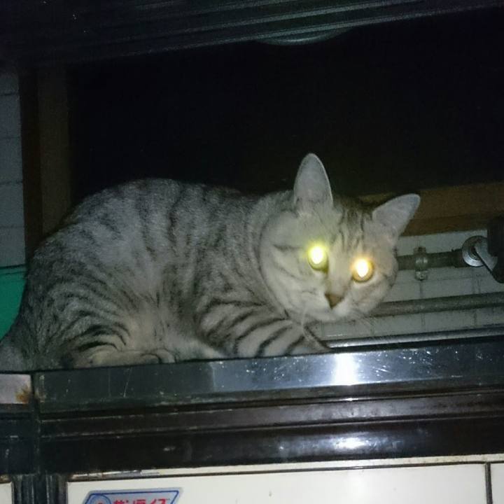 Ae13f486 2cc3 4878 876d e3d01fd84e1b