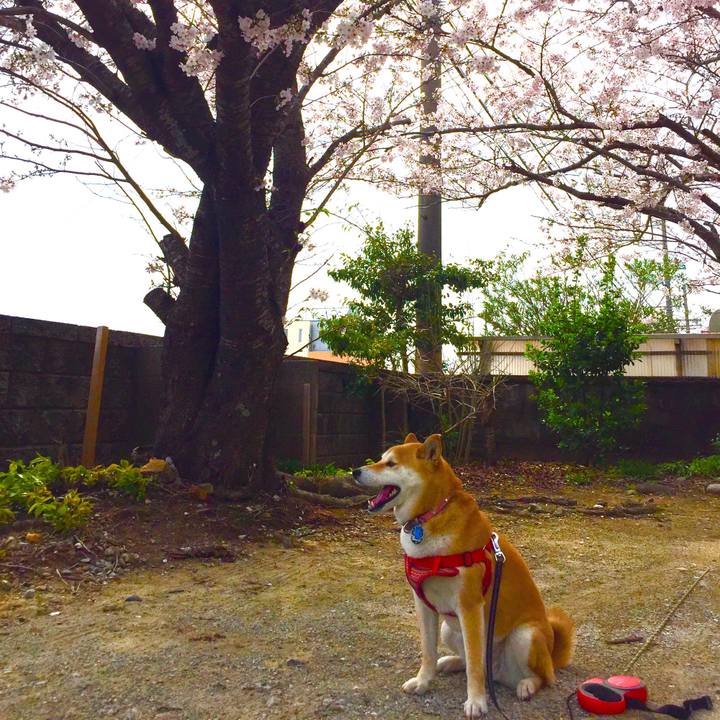 Ae143383 2bd7 4943 85e4 0ab2a0973f36