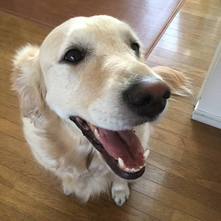 Ae14a6e1 5ff4 44e6 99fe 7efbc8880b7b