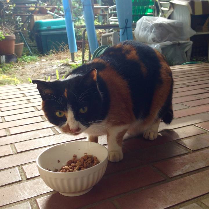 Ae14f7fe 48ec 4a53 a52d af5ac75a5c3d