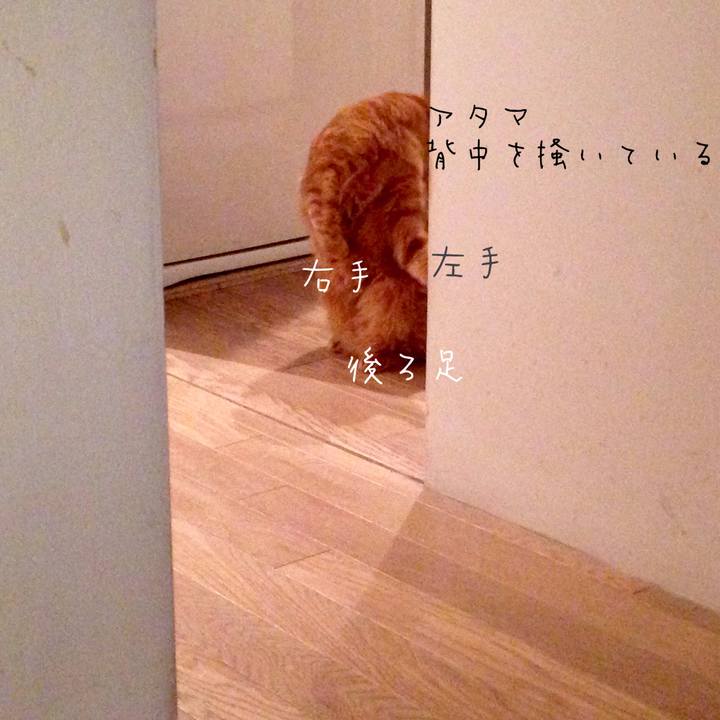 Ae155dbb c7ad 41f6 9b41 dd1145ad8bca