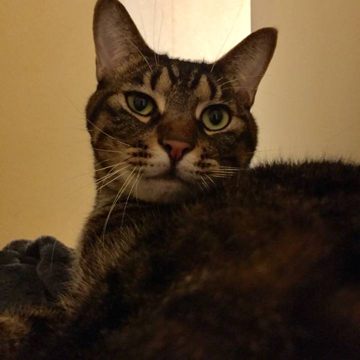 Ae156a93 5107 44cd bc33 3d8e633a2398