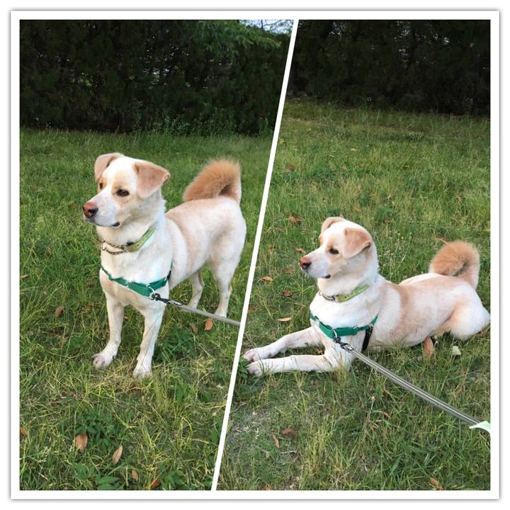 Ae15c3bf d07b 4c0d 8583 a2c957cc3a04